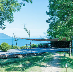 千年オリーブテラス for your wellness