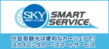 スカイレンタカースマートサービス（カーレンタリース株式会社）