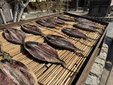 二十四の瞳映画村61 村の通り5 ©二十四の瞳映画村