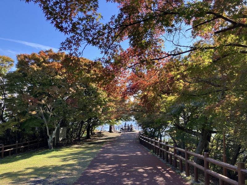 寒霞渓紅葉情報11.05（寒霞渓ロープウェイHPへ）