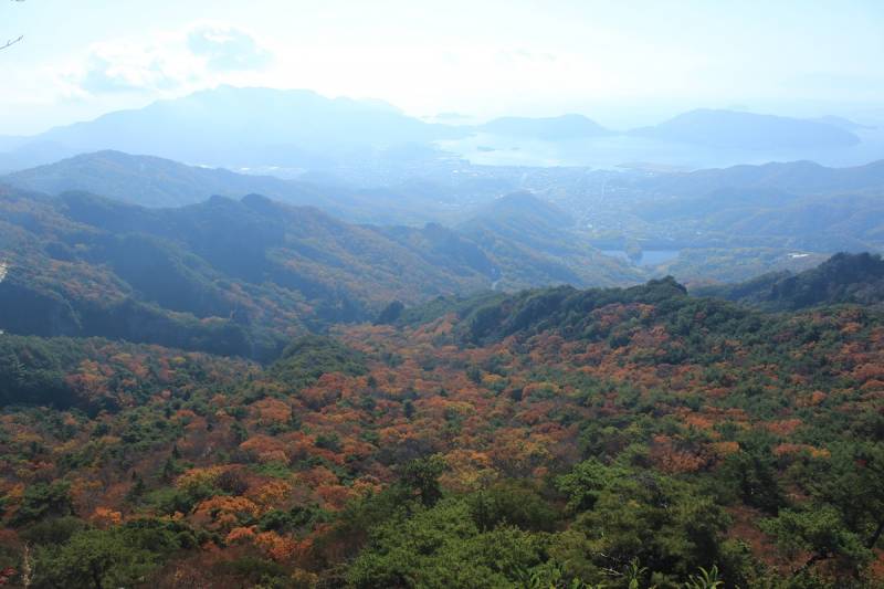 寒霞渓紅葉情報11.30（寒霞渓ロープウェイHPへ）