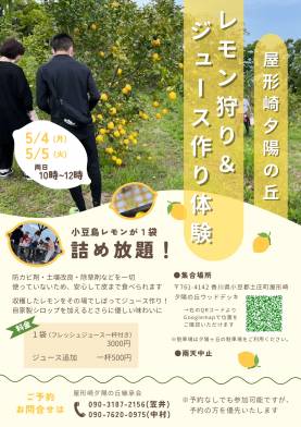 屋形崎夕陽の丘 「レモン狩り＆ジュース作り体験」