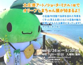 オリーブしまちゃん展