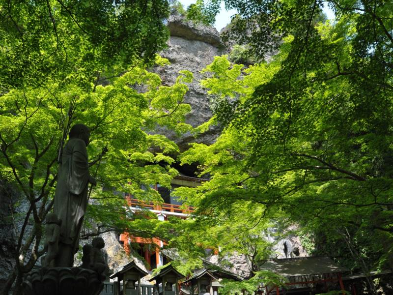 【参加者募集中】2025年度小豆島英語通訳・トレッキングガイド研修のご案内