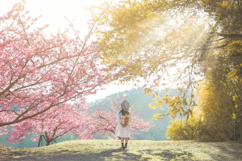 タケサン農園一般公開＆店舗出店予定のお知らせ（３月中旬頃まで）